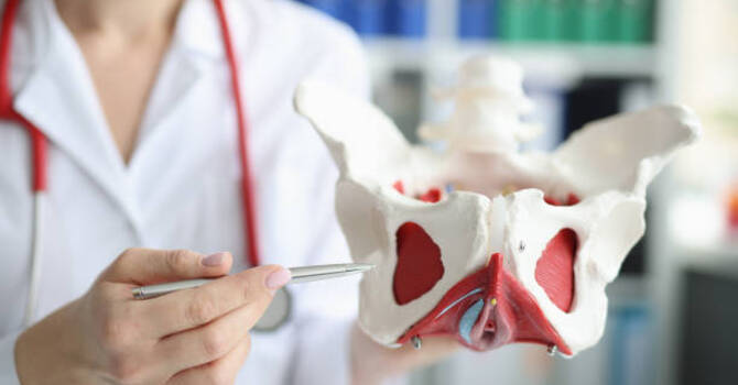 Pelvic Floor Therapy